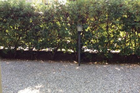 Residence Apuamare Pietrasanta Buitenkant foto